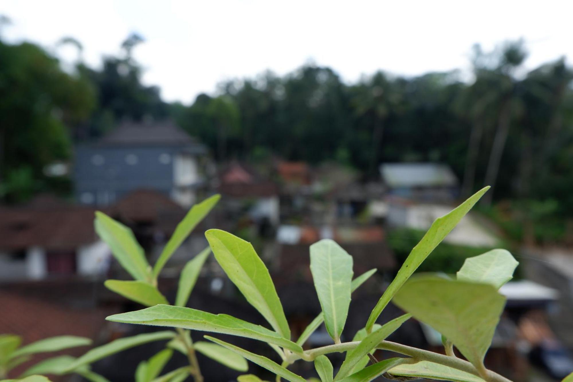Ramaya Ubud View By Eps エクステリア 写真